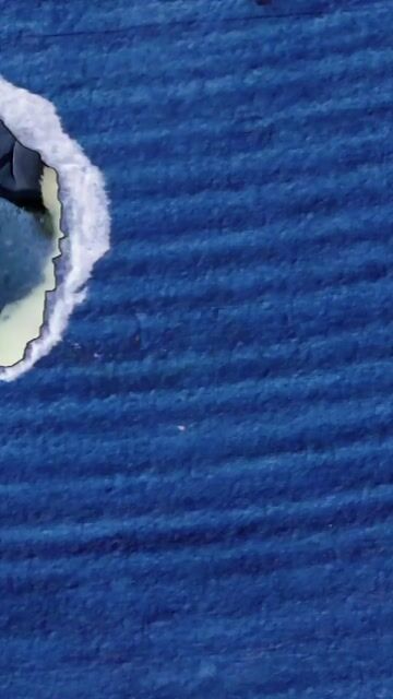 Chó Bichon trắng. Mua bán Chó tại Quận Cầu Giấy Hà Nội được đăng bởi Van Phan hình 1