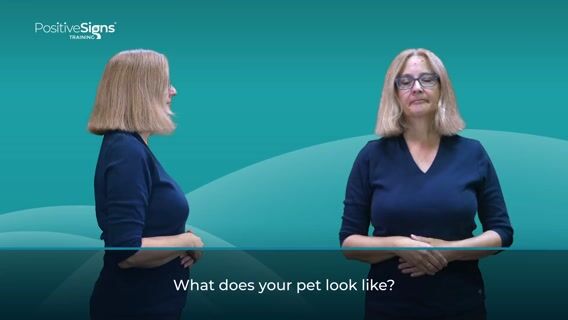 What does your pet look like?