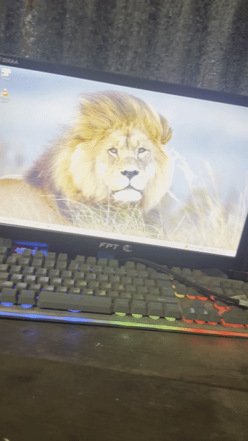 Máy tính để bàn ASUS All Series i5-4570 8GB. Mua bán Máy tính để bàn tại Huyện Châu Đức Bà Rịa - Vũng Tàu được đăng bởi Dũng Phát hình 1