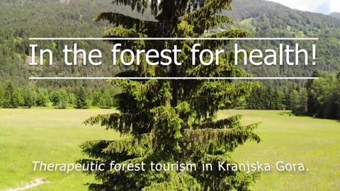 Forest Therapy on Tourists in the Kranjska Gora Destination