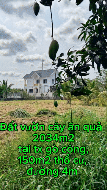 Mua bán Đất Huyện Gò Công Tây Tiền Giang diện tích 2034 m² giá 3,5 tỷ