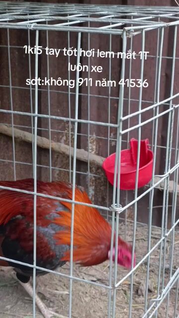 Dịch vụ Đổ mái. Dịch vụ tại Huyện Gò Dầu Tây Ninh được đăng bởi Tấn đạt Nguyễn hình 1