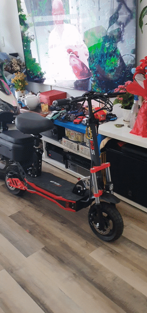 Xe đạp điện Sealup Q29 Đỏ 1000W. Mua bán Xe đạp tại Quận 7 Tp Hồ Chí Minh được đăng bởi Ngô Quang Huy hình 1