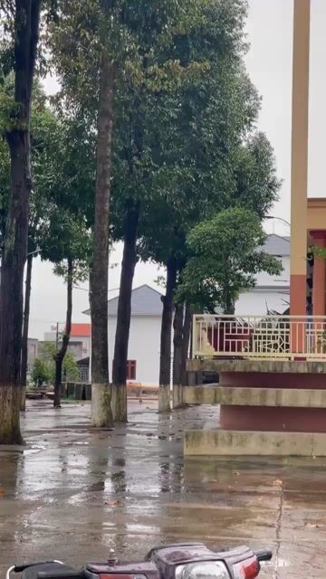 🔥 DREAM BOSS SANDA – MÁY ÊM BÌNH ĐỀ ĐẦY ĐỦ. Mua bán Xe máy tại Huyện Trảng Bom Đồng Nai được đăng bởi phương hình 1