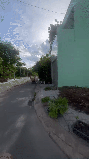 Mua bán Đất Cát Tường Phú Sinh Huyện Đức Hòa Long An diện tích 85 m² giá 1,4 tỷ