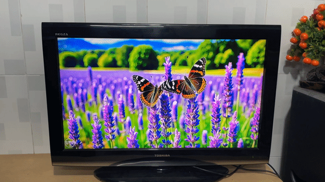 📺 TIVI LG 32EV700V Zin 32INCH Nhỏ Gọn Bền Bỉ ✅. Mua bán Tivi, Âm thanh tại Thành phố Thủ Đức Tp Hồ Chí Minh được đăng bởi Tivi 385 TP Thủ Đức hình 1
