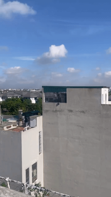 Cho thuê Văn phòng, Mặt bằng kinh doanh Mailand Hanoi City Huyện Hoài Đức Hà Nội diện tích 35 m² giá 8 triệu/tháng