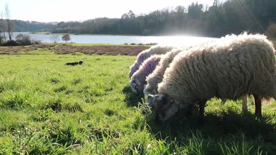 Des liens forts avant tout