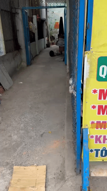 Mua bán Đất Huyện Hóc Môn Tp Hồ Chí Minh diện tích 300 m² giá 17 tỷ