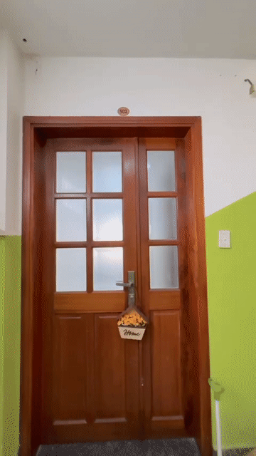 Cho thuê Phòng trọ Quận Gò Vấp Tp Hồ Chí Minh diện tích 50 m² giá 5,3 triệu/tháng