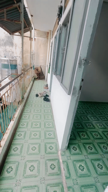 Cho thuê Phòng trọ Quận Gò Vấp Tp Hồ Chí Minh diện tích 18 m² giá 2,8 triệu/tháng