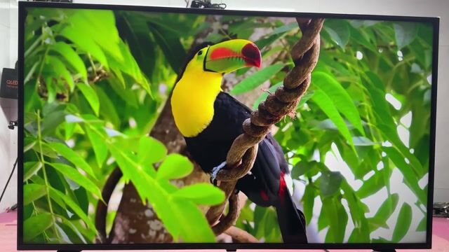 Tivi LG 43UP7750PTB 43 inch 4K tràn viền,giọng noi. Mua bán Tivi, Âm thanh tại Huyện Hòa Vang Đà Nẵng được đăng bởi Điện Tử Bảo Tuấn hình 1