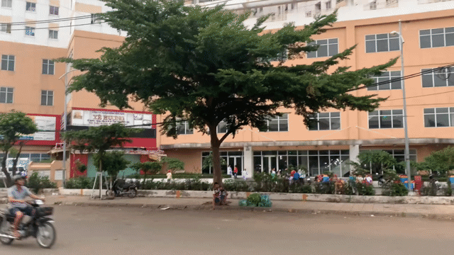 Cho thuê Căn hộ Chung cư HQC Hóc Môn Huyện Hóc Môn Tp Hồ Chí Minh diện tích 50 m² giá 4,5 triệu/tháng