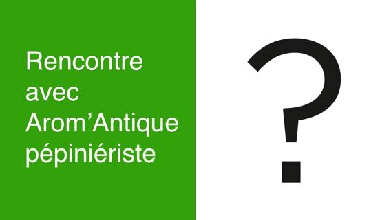 Arom'antique pépiniériste