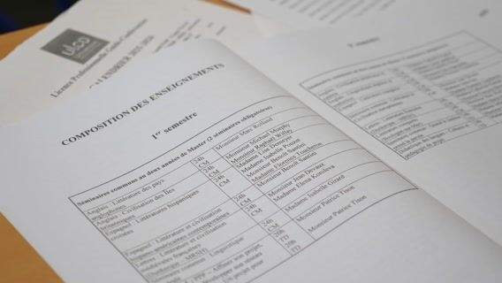 Bref. Je suis en Master LLCER.