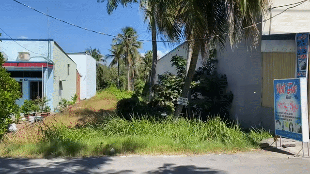 Mua bán Đất Huyện Bình Chánh Tp Hồ Chí Minh diện tích 500 m² giá 8 tỷ