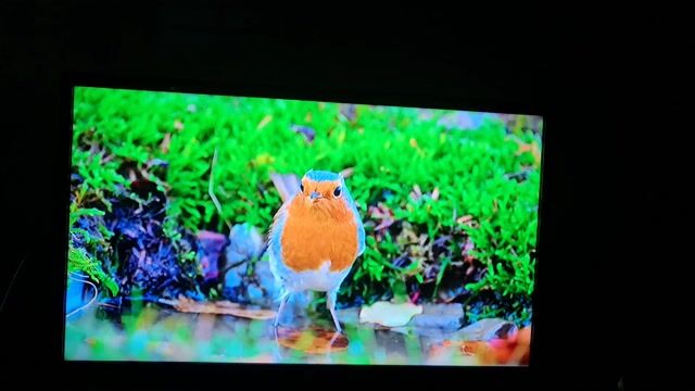 Tivi LG 32 fullhd. Mua bán Tivi, Âm thanh tại Thành phố Thủ Đức Tp Hồ Chí Minh được đăng bởi Điện Tử Lê Hoà  hình 1