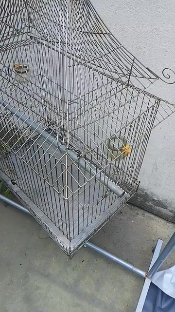Lồng chim kim loại không gỉ. Mua bán Phụ kiện, Thức ăn, Dịch vụ tại Quận 6 Tp Hồ Chí Minh được đăng bởi Ngọc Lực hình 1