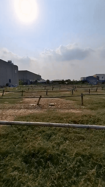 Mua bán Đất Huyện Hóc Môn Tp Hồ Chí Minh diện tích 700 m² giá 11 tỷ