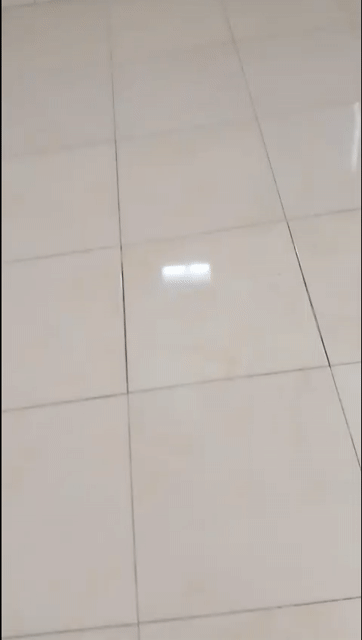 Cho thuê Phòng trọ Quận 4 Tp Hồ Chí Minh diện tích 15 m² giá 2,7 triệu/tháng