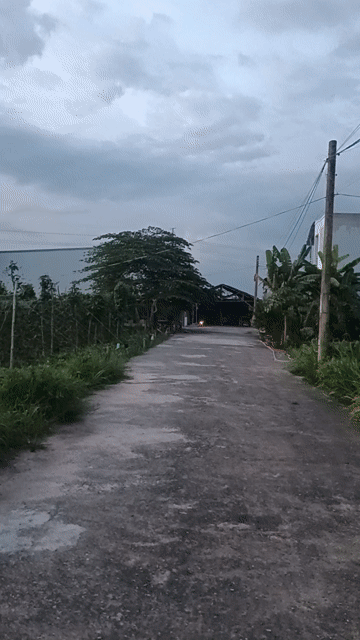 Mua bán Đất Huyện Nhơn Trạch Đồng Nai diện tích 102 m² giá 1,75 tỷ