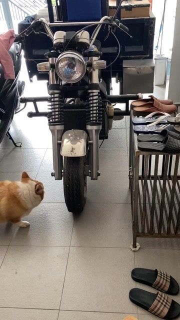 CẦN BÁN XE LÔI 3 BÁNH GIẤY TỜ ĐẦY ĐỦ HỢP LỆ. Mua bán Phương tiện khác tại Thành phố Dĩ An Bình Dương được đăng bởi Nguyễn Tiến Đạt hình 1