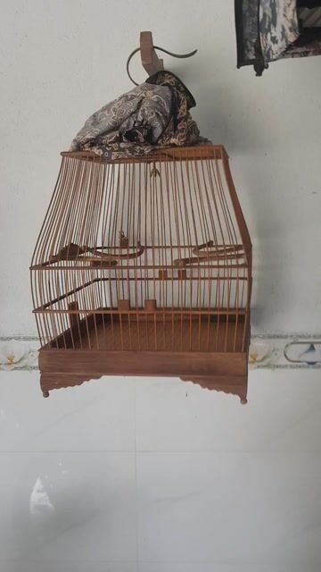 2 Lồng chào mào. Mua bán Phụ kiện, Thức ăn, Dịch vụ tại Huyện Trảng Bom Đồng Nai được đăng bởi Nguyễn hình 1