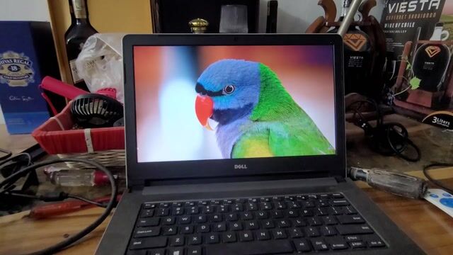 Màn hình máy tính 19 inch KoDa-LED20A-2K. Mua bán Phụ kiện (Màn hình, Chuột...) tại Thành phố Thủ Đức Tp Hồ Chí Minh được đăng bởi Mai Tiến hình 1