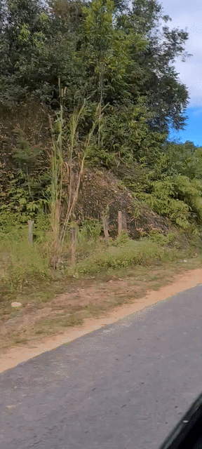 Cho thuê Đất Huyện Đam Rông Lâm Đồng diện tích 3342 m² giá 12 triệu/tháng