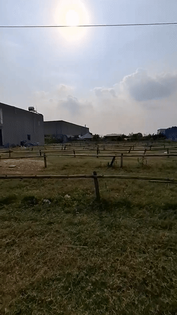 Mua bán Đất Huyện Hóc Môn Tp Hồ Chí Minh diện tích 438 m² giá 11 tỷ