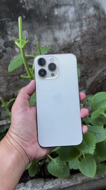 Apple iPhone 14 Pro Max 128GB Vàng Đã sử dụng. Mua bán Điện thoại tại Thành phố Thủ Đức Tp Hồ Chí Minh được đăng bởi Bin Bin hình 1