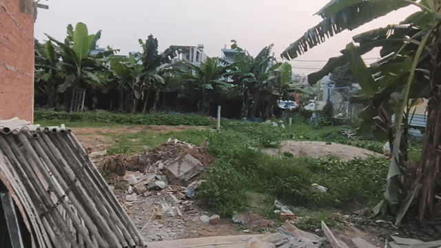 Cho thuê Đất Quận Cẩm Lệ Đà Nẵng diện tích 200 m² giá 6 triệu/tháng