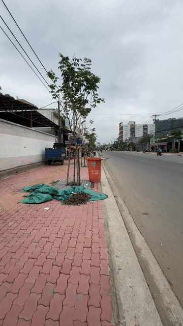 Mua bán Đất Thành phố Thủ Đức Tp Hồ Chí Minh diện tích 77.1998 m² giá 6,2 tỷ