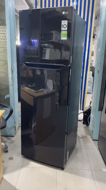 Tủ lạnh LG Inverter 255L tiết kiệm điện - FreeShip. Mua bán Tủ lạnh tại Quận Tân Bình Tp Hồ Chí Minh được đăng bởi QUANG PHÁT hình 1