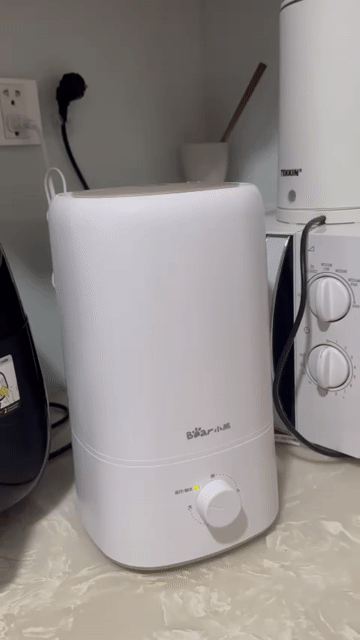 Máy phun sương Bear JSQ-F50B1 5L Trắng. Mua bán Nội thất, đồ gia dụng khác tại Quận Bình Thạnh Tp Hồ Chí Minh được đăng bởi Minh Le hình 1