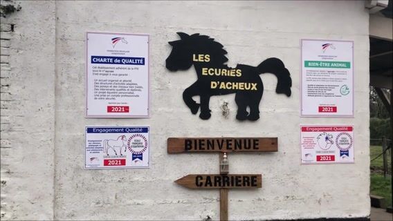 Dans la vie d’un gérant d’un centre équestre