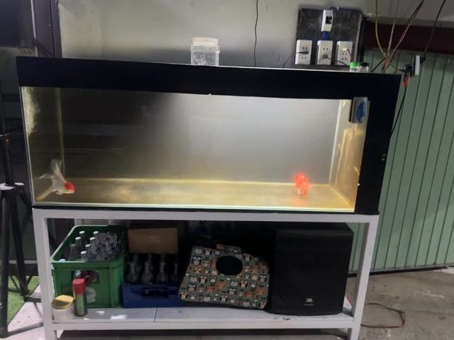 Bể cá cảnh 1m5 x 50 x 60. Mua bán Phụ kiện, Thức ăn, Dịch vụ tại Quận Cẩm Lệ Đà Nẵng được đăng bởi Nguyễn Hữu Anh Vũ hình 1
