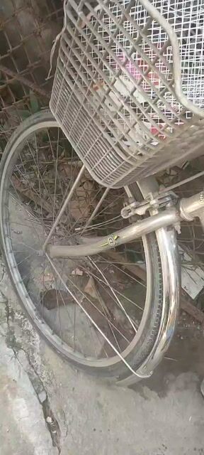 Xe đạp Martin Kim loại Bạc. Mua bán Xe đạp tại Thành phố Thủ Đức Tp Hồ Chí Minh được đăng bởi Huỳnh Minh Khôi Nguyễn hình 1