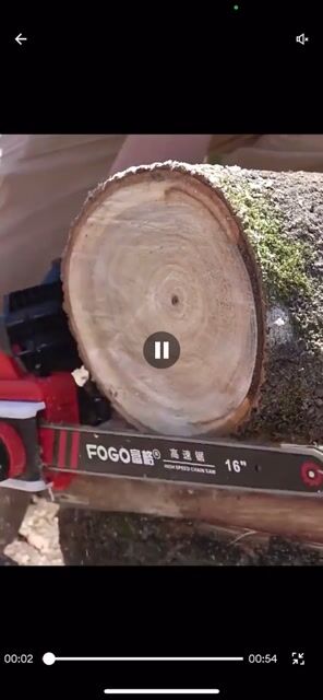 Cưa điện Không chổi than Nội địa Trung Đỏ, Đen. Mua bán Đồ chuyên dụng, Giống nuôi trồng tại Quận Hải Châu Đà Nẵng được đăng bởi Hải Dương hình 1