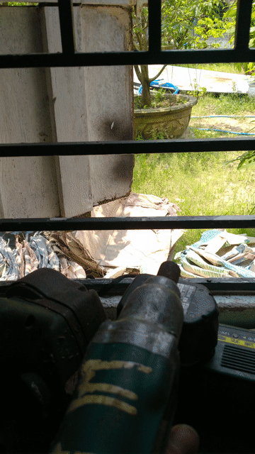 Dụng cụ điện Hitachi Xanh lá. Mua bán Đồ chuyên dụng, Giống nuôi trồng tại Huyện Núi Thành Quảng Nam được đăng bởi Ngok quy hình 1