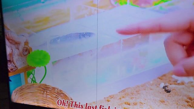 Tivi Samsung 49 inch Đã sử dụng. Mua bán Tivi, Âm thanh tại Quận Liên Chiểu Đà Nẵng được đăng bởi Trần Đại Phong hình 1