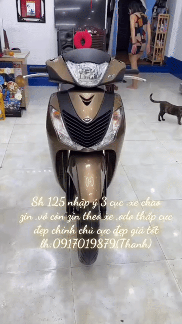 Honda SH 125 2010 Vàng đồng. Mua bán Xe máy tại Thành phố Vũng Tàu Bà Rịa - Vũng Tàu được đăng bởi XE MÁY BẢO THANH  TPVŨNG TÀU hình 1