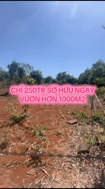 Mua bán Đất Huyện Đồng Phú Bình Phước diện tích 1000 m² giá 250 triệu