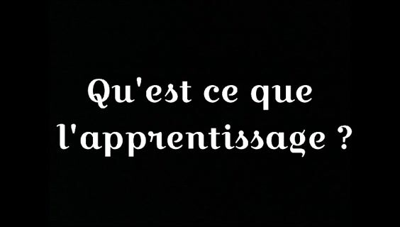 L'apprentissage, une voie certaine ?
