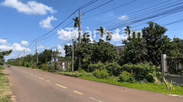 Mua bán Đất Chơn Thành Golden Land Huyện Chơn Thành Bình Phước diện tích 1000 m² giá 200 triệu