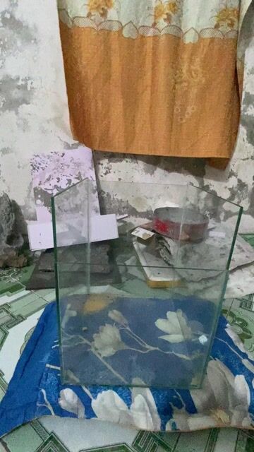 Bể kính 30x30x40 cm đã qua sử dụng. Mua bán Cây cảnh, đồ trang trí tại Quận Hai Bà Trưng Hà Nội được đăng bởi Quốc Việt hình 1