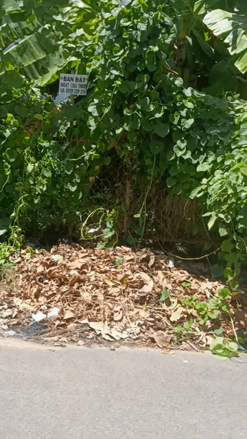 Mua bán Đất Thành phố Rạch Giá Kiên Giang diện tích 100 m² giá 2,4 tỷ