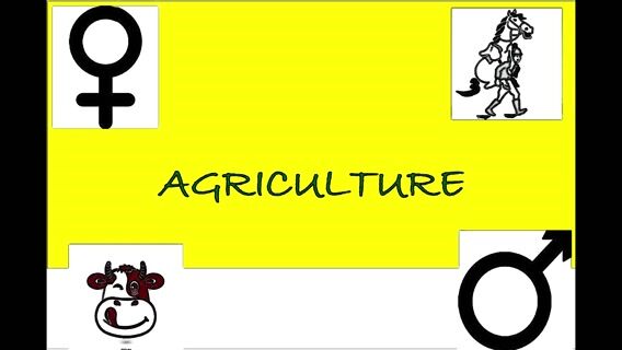 Agriculture asexuée