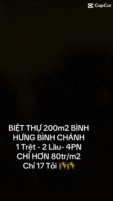 Mua bán Nhà ở Huyện Bình Chánh Tp Hồ Chí Minh diện tích 201 m² giá 17 tỷ