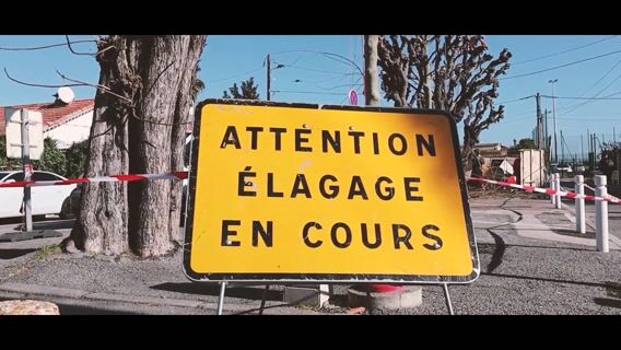 les arboristes élagueurs